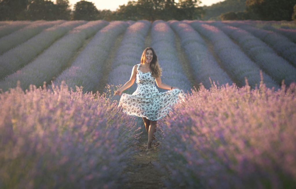 Fioritura lavanda in piemonte