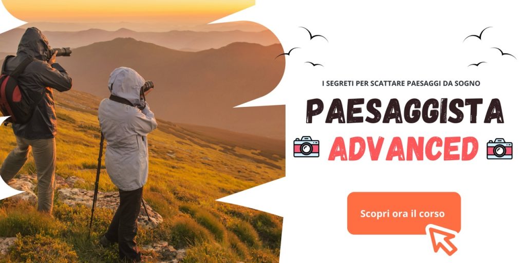 Paesaggista advanced