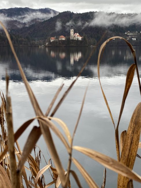 foto smartphone bled